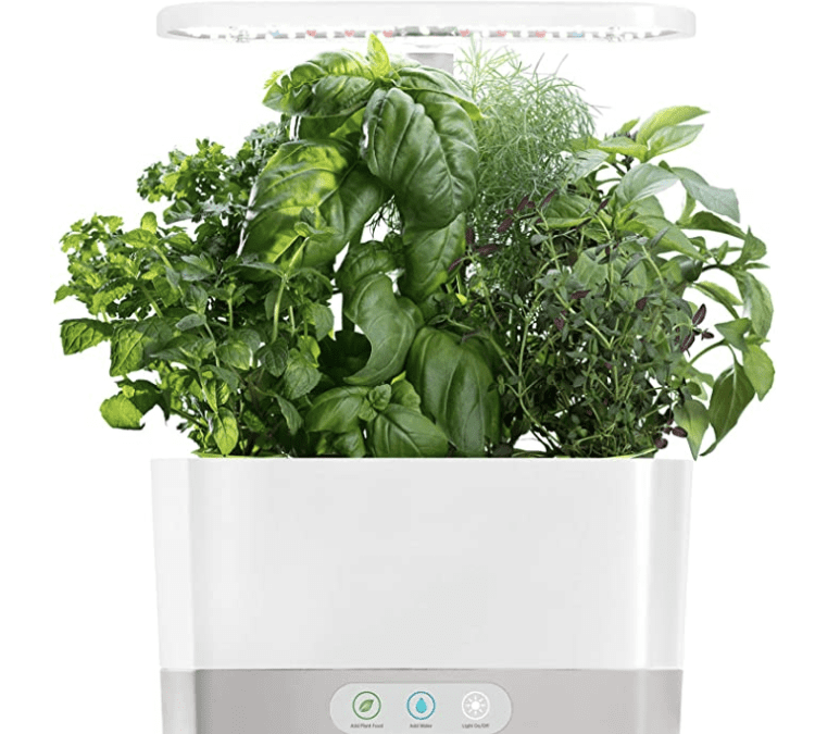 AeroGarden Harvest with Gourmet Herb Seed Pod Kit – $76.99 (reg. $165)