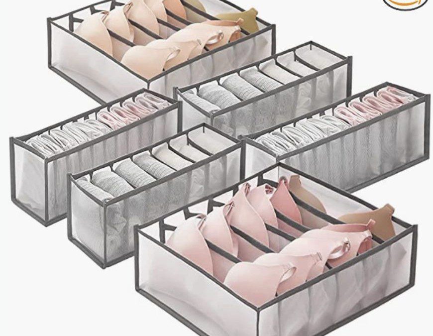 6 Piece Underwear Drawer Organizers – Just $11.39 shipped!