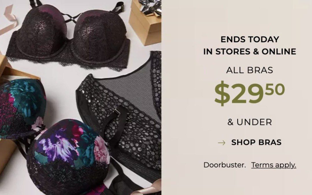 TODAY Only at Lane Bryant  – All Bras $29.50 or less + FREE Shipping!!