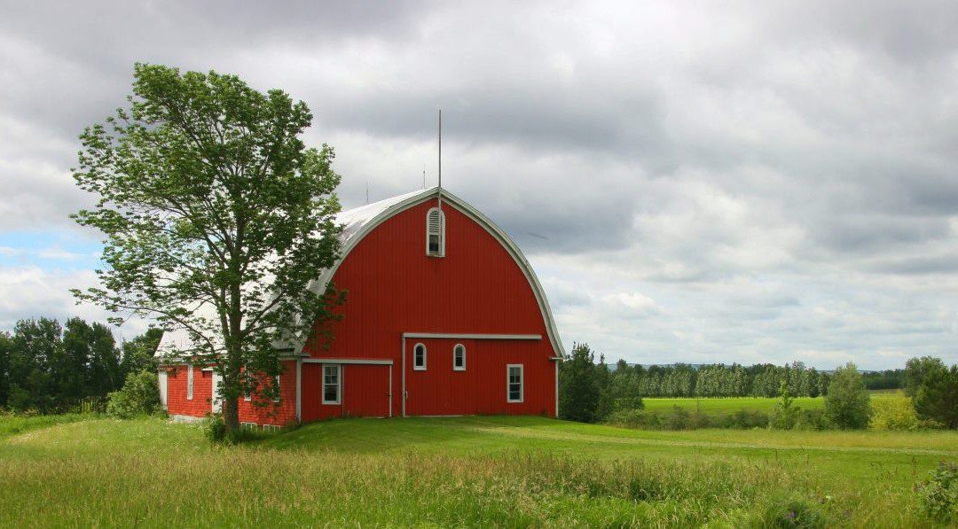 6 Tips To Help You Build A Barn On A Budget