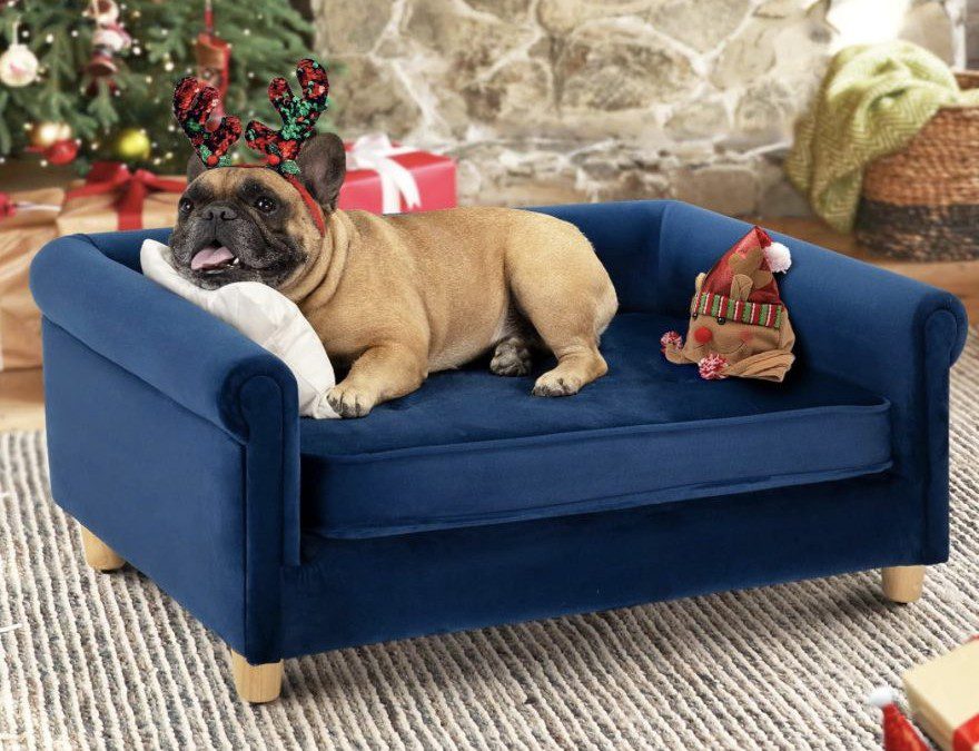 Cyber Monday Sale – Pet Sofa’s – Small, Medium & Large – Up to 34% off + Coupons!