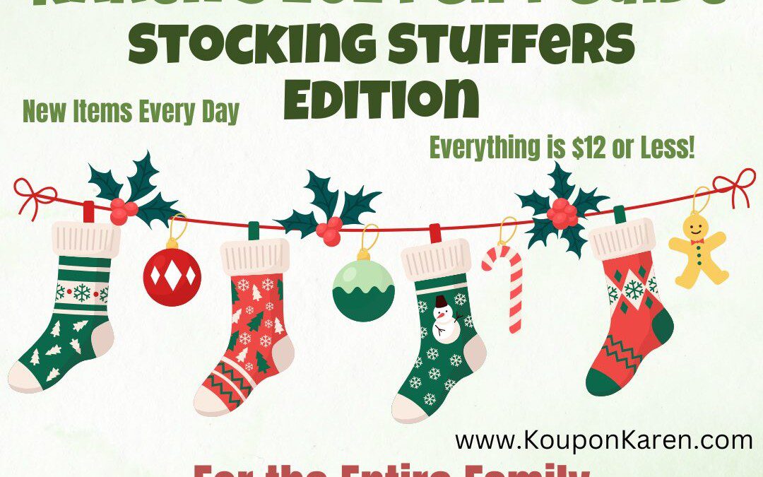 2024 Gift Guide – Stocking Stuffers for the Family!